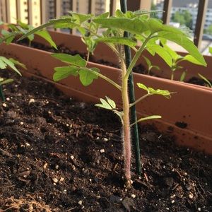 Meet your Posher, Christine